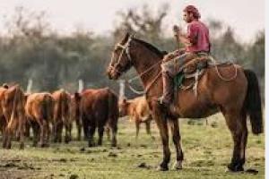 Empleos Sin datos  EMPLEO